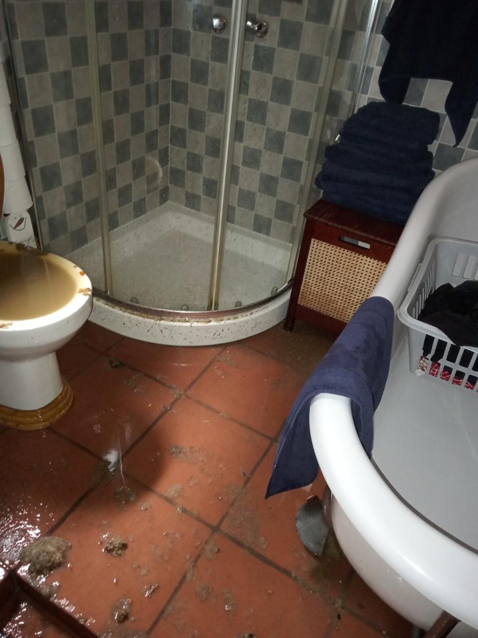 The loo was overflowing with brown water (Buster Price)