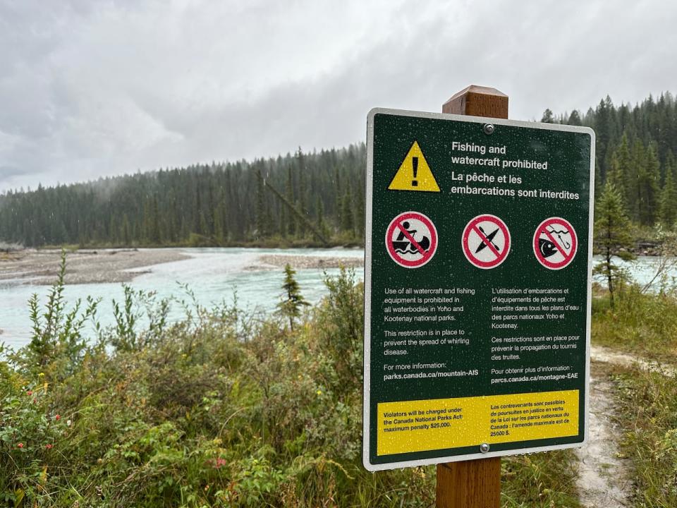 A sgn on the Kootenay River in Kootenay National Park announces the park's closure to all fishing and watercraft until March 2025. 