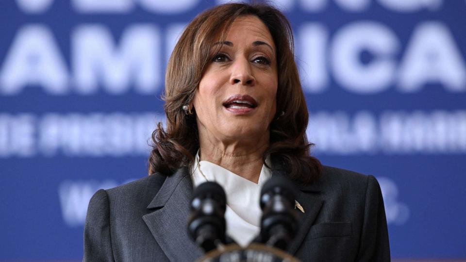 PHOTO: Vice President Kamala Harris speaks about the impact of 'Bidenomics,' at Sycamore and Oak retail village, Aug. 4, 2023, in Washington. (Mandel Ngan/AFP via Getty Images)