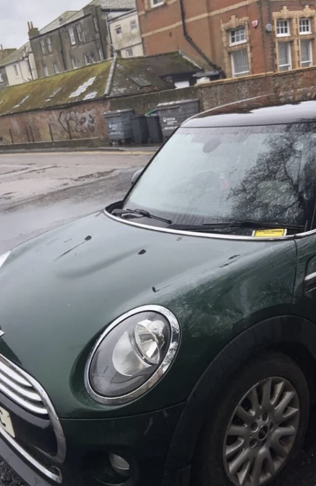 Green Mini Cooper car parked on a wet street with buildings in the background