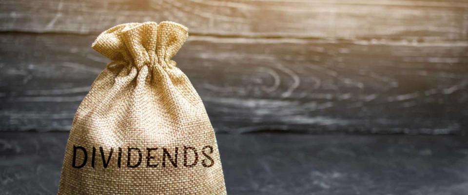 Money bag with the word Dividends