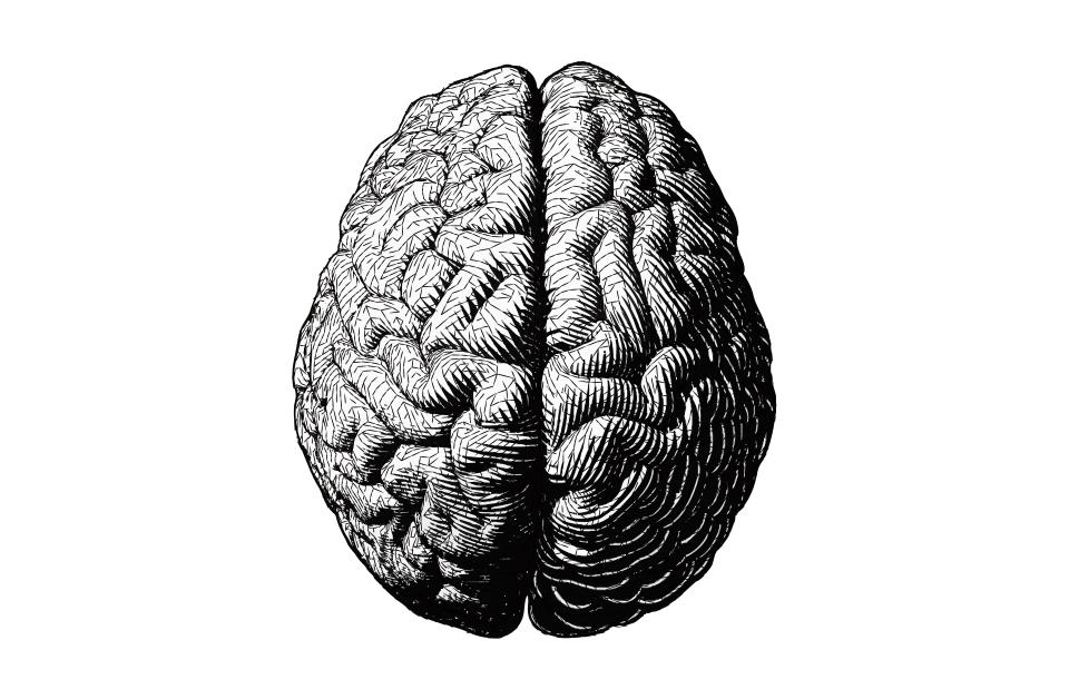 Monochrome engraving brain illustration in top view with stylized triangular wireframe isolated on white background