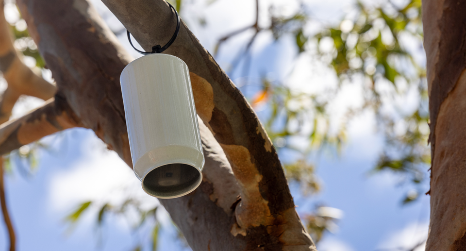 A close up of one of the temperature devices.