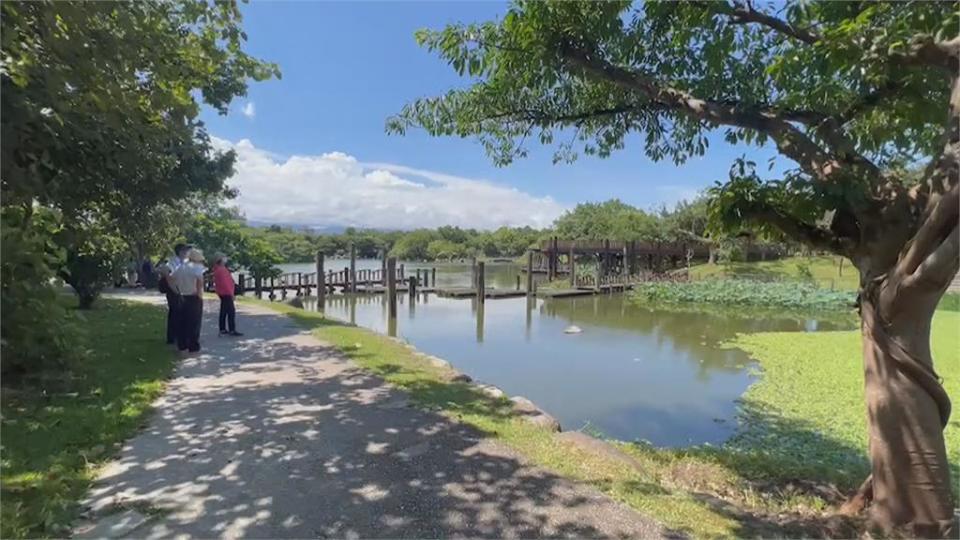 羅東公園鋪設水泥步道　遭疑恐破壞生態環境