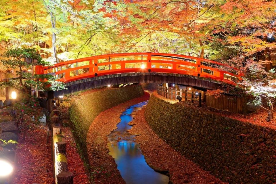 red bridge with fallen leaves in river below