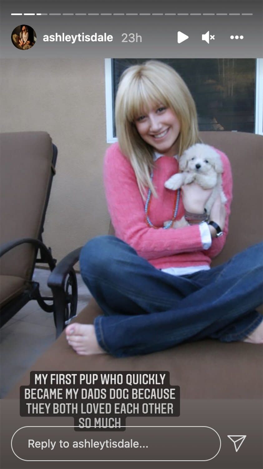 Ashley Tisdale dog Blondie