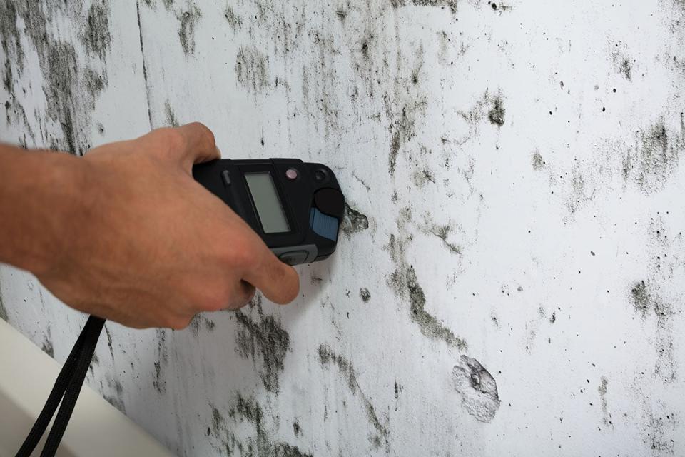 Mold Inspection Cost DIY vs. Hiring a Professional