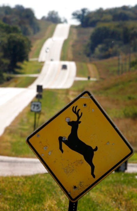 File photo of a deer crossing sign. (Kent Sievers/Omaha World-Herald via AP)