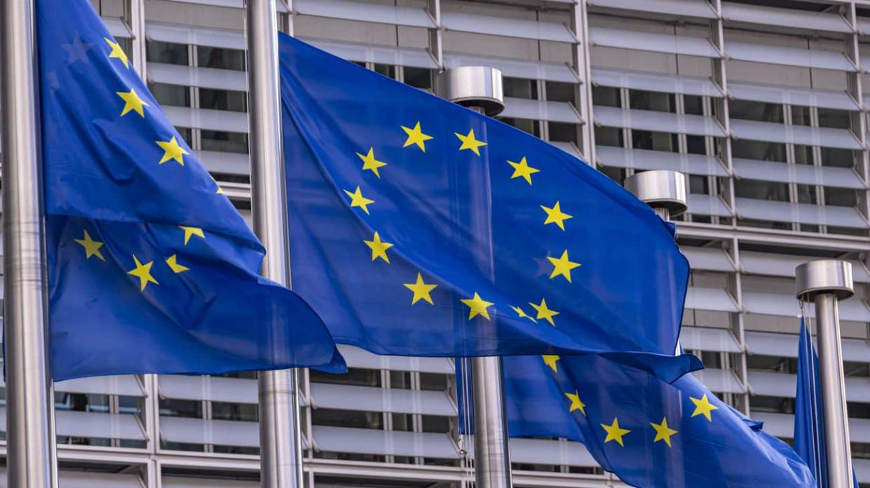 EU flags. Stock photo: Getty Images