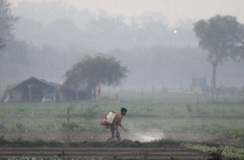 A farmer works at a farm land on Yamuna river bed in heavy smog in New Delhi on 8 November (EPA)