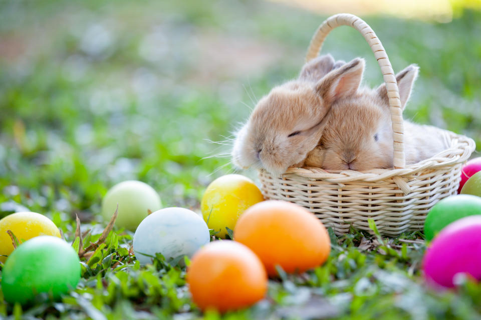 Ostern ist das wichtigste christliche Fest des Jahres. jedes Land hat seine eigenen Traditionen. (Symbolbild: Getty Images)