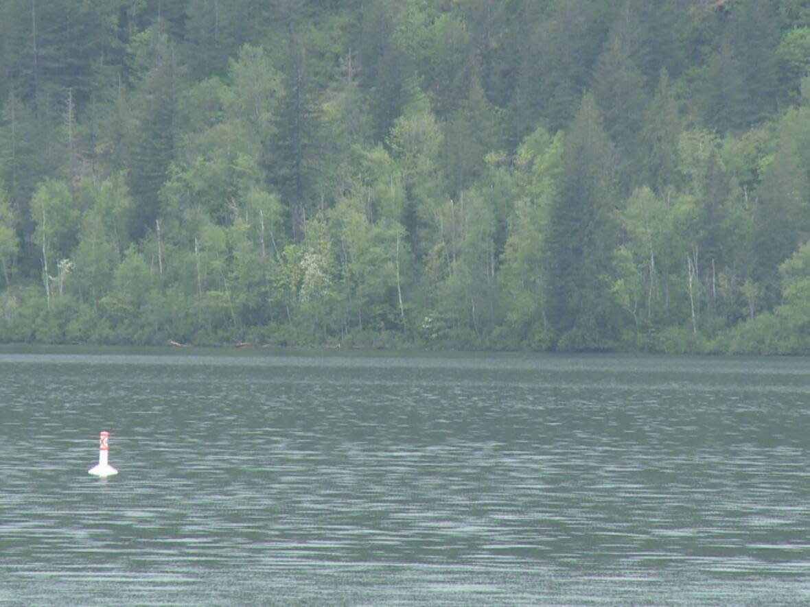 Buoys have been installed at Cultus Lake in an effort to remind boaters of speed restrictions. (CBC - image credit)