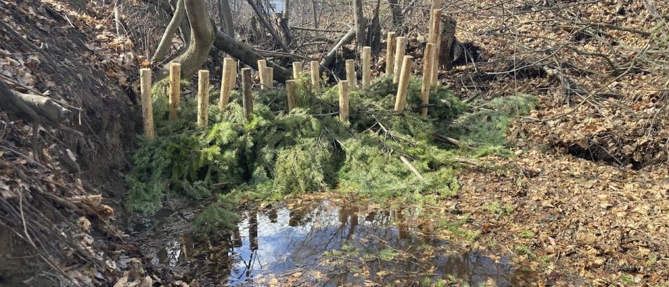 A beaver dam analogue is set up in Howard Creek, a tributary of the Nicola River, where 10 of the artificial logjams have been built as a pilot project that could soon expand across B.C.