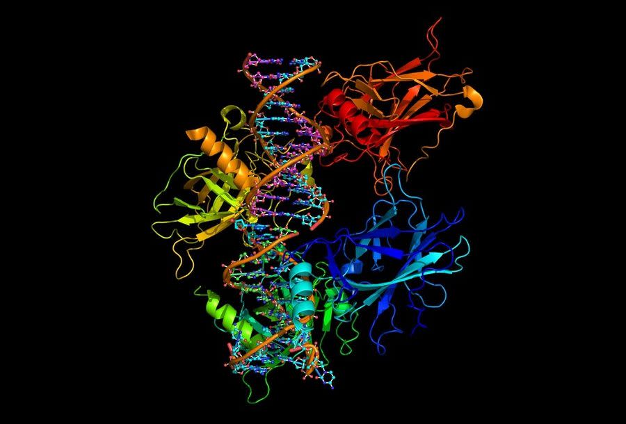蛋白質基因 圖/shutterstock