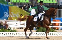 <p>Dressage is the event that is all about the high steps. Despite a 12-year absence, the equestrian has been featured regularly since 1900. </p>