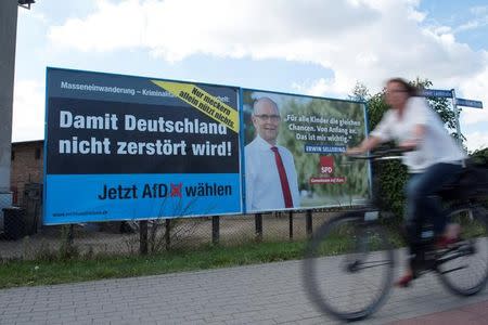 Election posters of the right-wing Alternative for Germany (AfD) and Social Democratic Party (SPD) are seen in Greifswald, Mecklenburg-West Pomerania, Germany August 30, 2016. REUTERS/Stefanie Loos