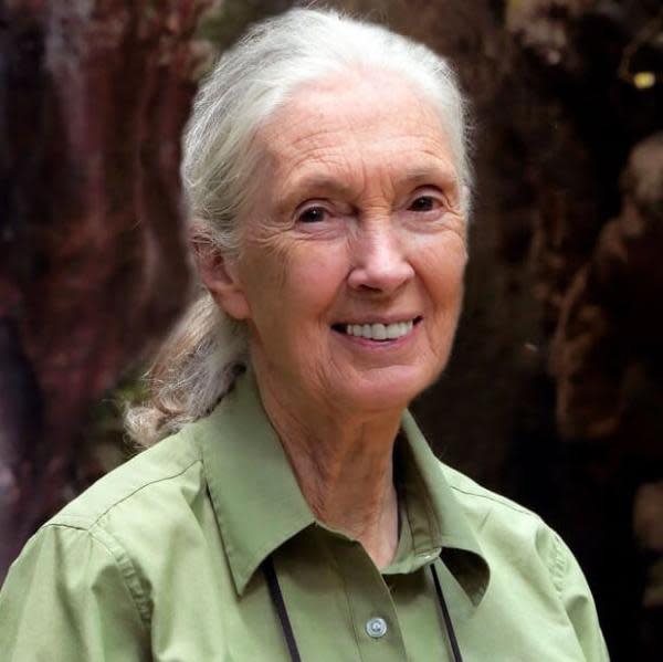 Jane Goodall (Imagen: American Academy of Arts & Sciences)