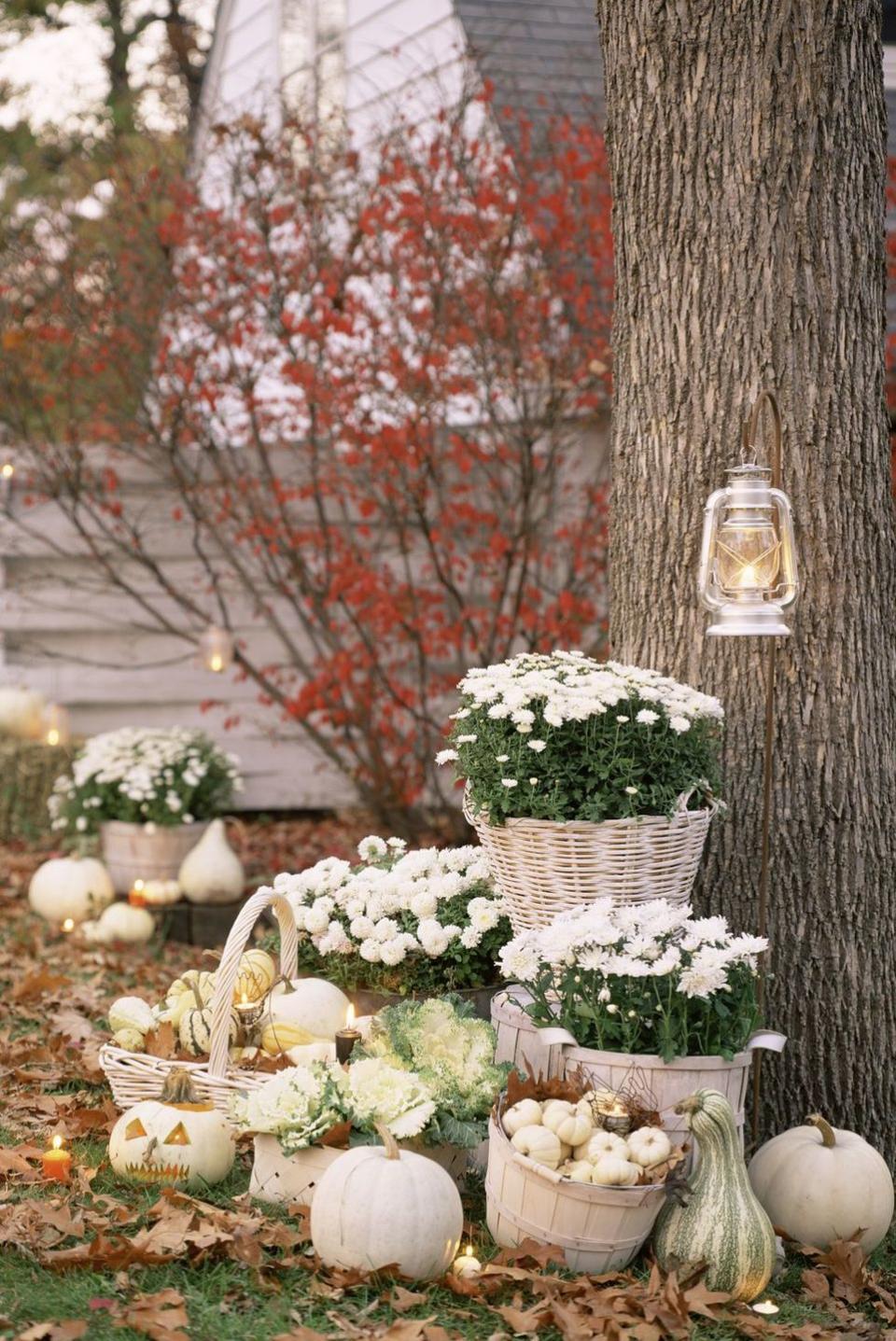 <p>Keep it bright and ghostly with all whites and light neutrals. An all-white color palette makes fall staples like pumpkins, baskets, and mums feel elevated and elegant.</p><p><a class="link " href="https://www.amazon.com/dp/B00PIROH4K/ref=sspa_dk_detail_0?psc=1&pd_rd_i=B00PIROH4K&pd_rd_w=n7tEM&pf_rd_p=7d37a48b-2b1a-4373-8c1a-bdcc5da66be9&pd_rd_wg=Fku2X&pf_rd_r=CTE63H0EZJWNTQ66SQBZ&pd_rd_r=eac93f81-eabf-40e8-b4ce-7faec0cb1921&spLa=ZW5jcnlwdGVkUXVhbGlmaWVyPUEzM1owR1VQOTlLVEhaJmVuY3J5cHRlZElkPUEwNjE0MzE3MjE0TlZJMEhSVDZCWiZlbmNyeXB0ZWRBZElkPUEwNTcyODExM09PQ1AwTTBDWkEzMyZ3aWRnZXROYW1lPXNwX2RldGFpbCZhY3Rpb249Y2xpY2tSZWRpcmVjdCZkb05vdExvZ0NsaWNrPXRydWU%3D&tag=syn-yahoo-20&ascsubtag=%5Bartid%7C10057.g.2554%5Bsrc%7Cyahoo-us" rel="nofollow noopener" target="_blank" data-ylk="slk:BUY NOW;elm:context_link;itc:0;sec:content-canvas">BUY NOW</a> <strong><em>Bushel Basket, $16</em></strong></p>