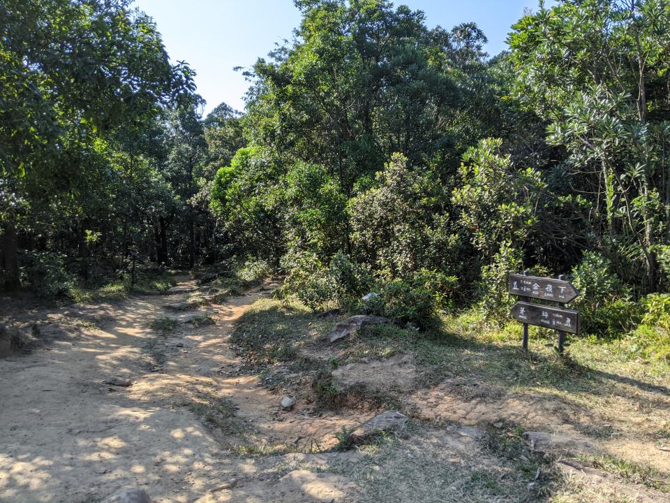 行山路線｜沙田水牛山環視西貢外海靚景！從西貢大水井起步經馬鞍山郊遊徑路線