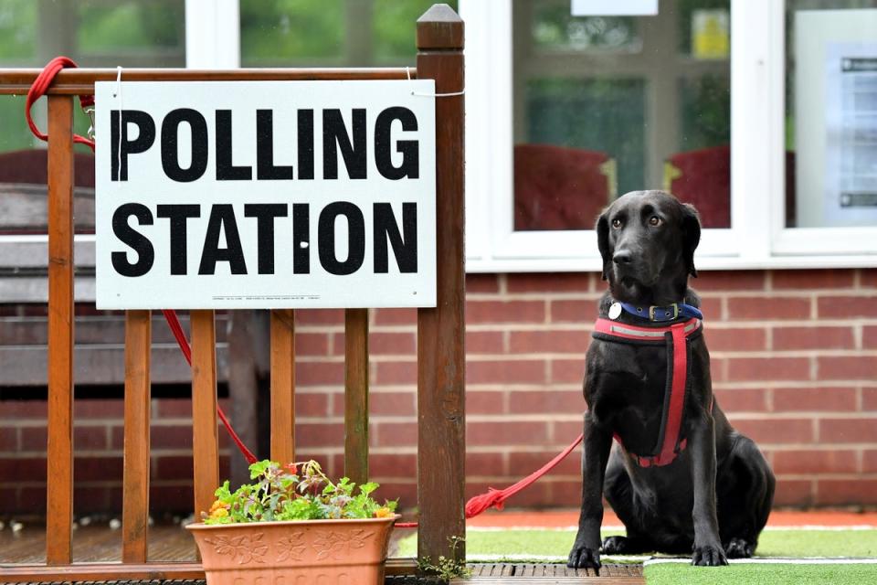 Yes, you can bring your dog to the polling station (Getty Images)