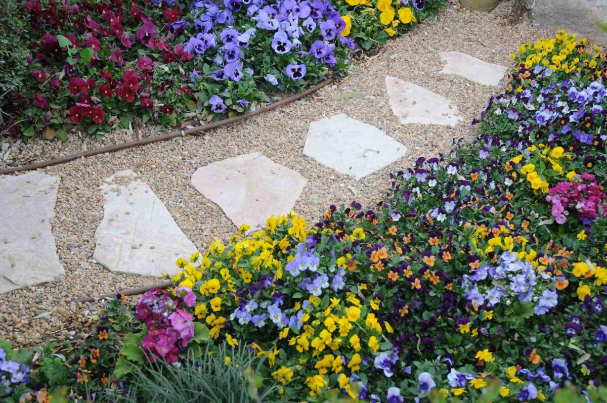 How to Create a Gravel Garden, an Eco-Friendly Landscaping System That Requires Minimal Water