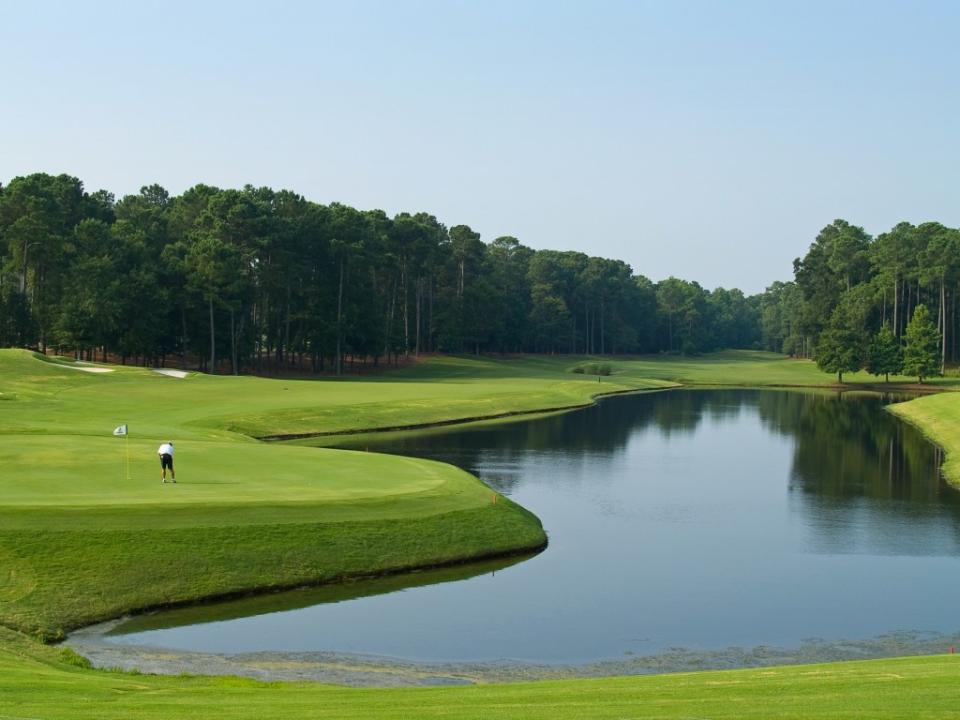 Golfer on this beautiful Myrtle Beach, South Carolina golf course via Getty Images