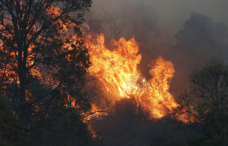 A fast-moving bushfire spreads in the Gold Coast Hinterland.