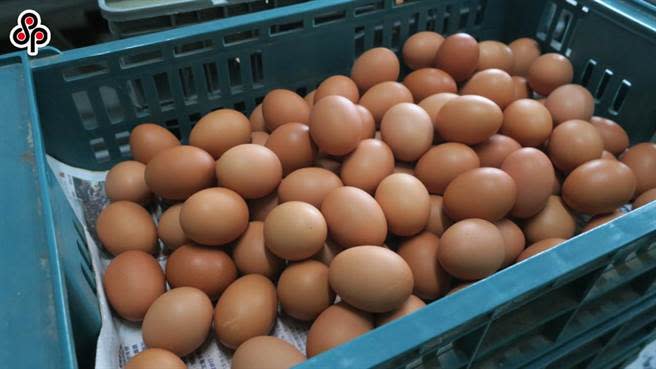 近日全台出現雞蛋荒，不少民眾抱怨根本買不到蛋。（示意圖／本報系資料照）