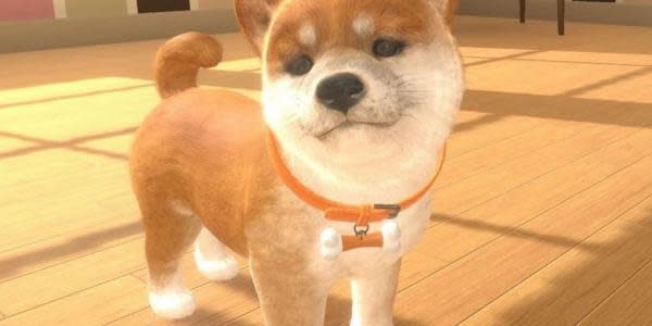 La historia de los perritos abandonados de Nintendogs que se hizo viral llegó a su fin