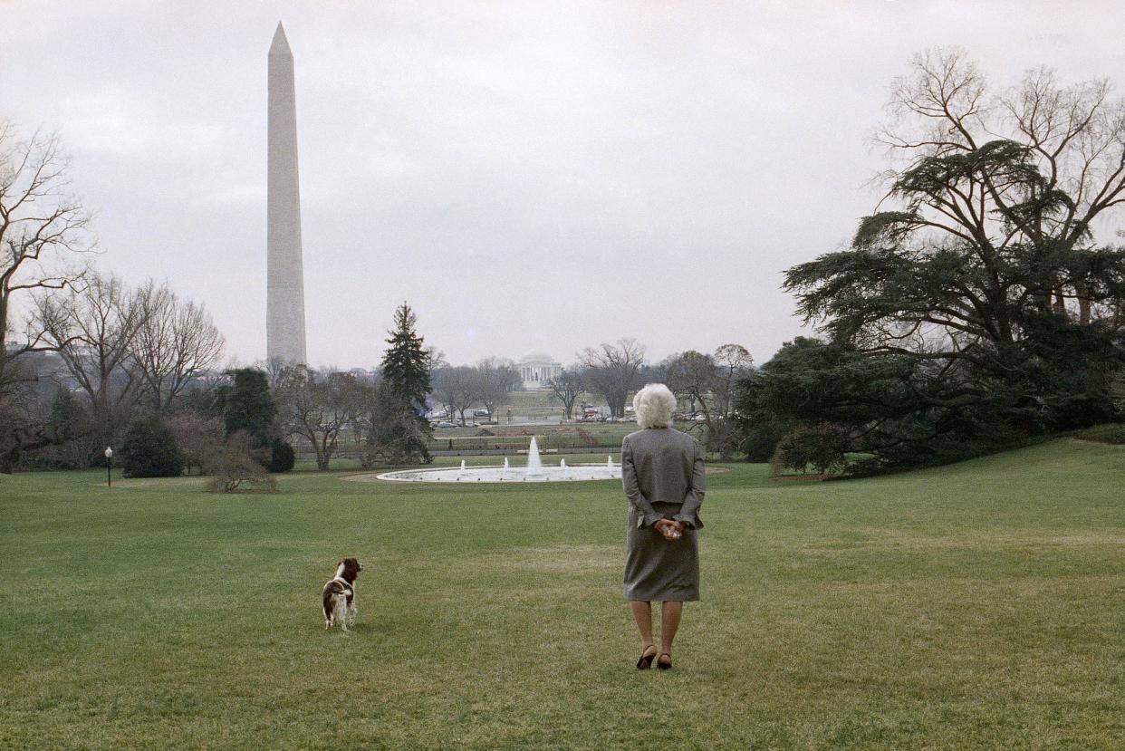 In this Feb. 8, 1989, file photo on a sunny but cold day first lady Barbara Bush strolls on the White House South Lawn in Washington with the family dog, Millie. The arrival of the Biden pets will also mark the next chapter in a long history of pets residing at the White House after a four-year hiatus during the Trump administration. (AP Photo/Barry Thumma, File)