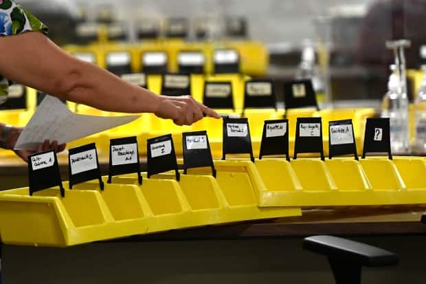 A worker organizes bins labelled with the names of candidates into which special ballots from national, international, Canadian Forces and incarcerated electors will be placed and counted, at Elections Canada's distribution centre in Ottawa on election night Monday, Sept. 20, 2021. (Justin Tang/The Canadian Press - image credit)
