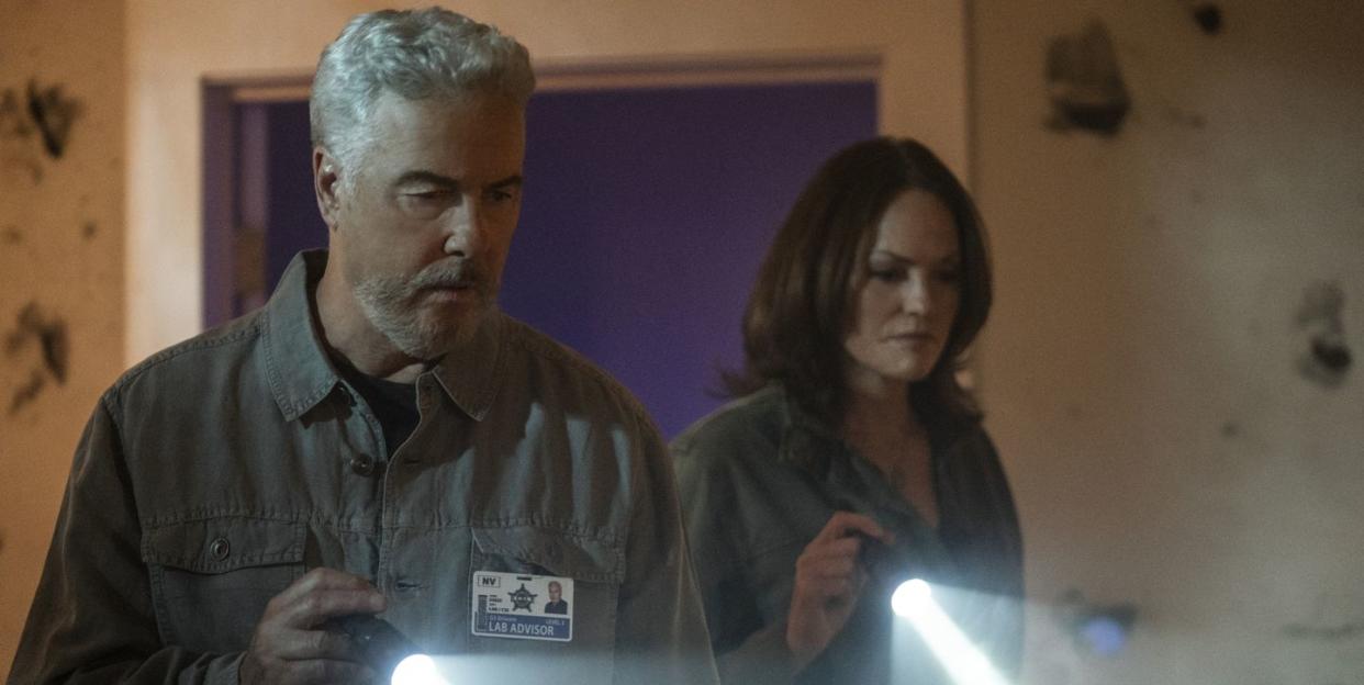 william petersen as dr gil grissom and jorja fox as sara sidle, csi vegas