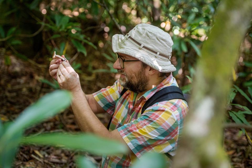 Chris Fairbanks examines a mushroom he found while on a foraging tour with No Taste Like Home in Black Mountain.