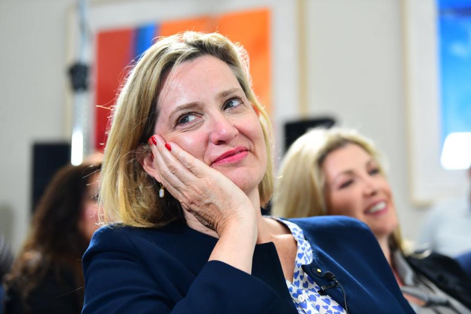 Amber Rudd served as Home Secretary under Theresa May and Energy Secretary under David Cameron (Victoria Jones/PA) (PA Archive)