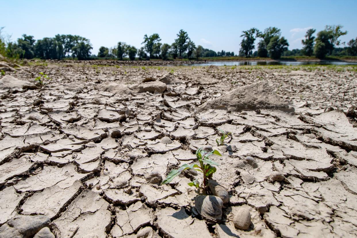 Germany, and many other nations in&nbsp;Europe,&nbsp;suffered several weeks of debilitating heat and drought&nbsp;this summer. (Photo: ARMIN WEIGEL/Getty Images)