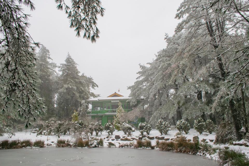 天池位於福壽山的制高點，下雪時池面與步道都會被雪覆蓋，既唯美又浪漫。圖/福壽山農場臉書粉絲專頁