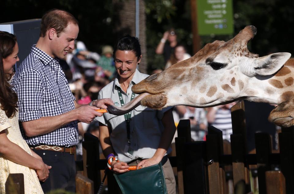 prince william zoo