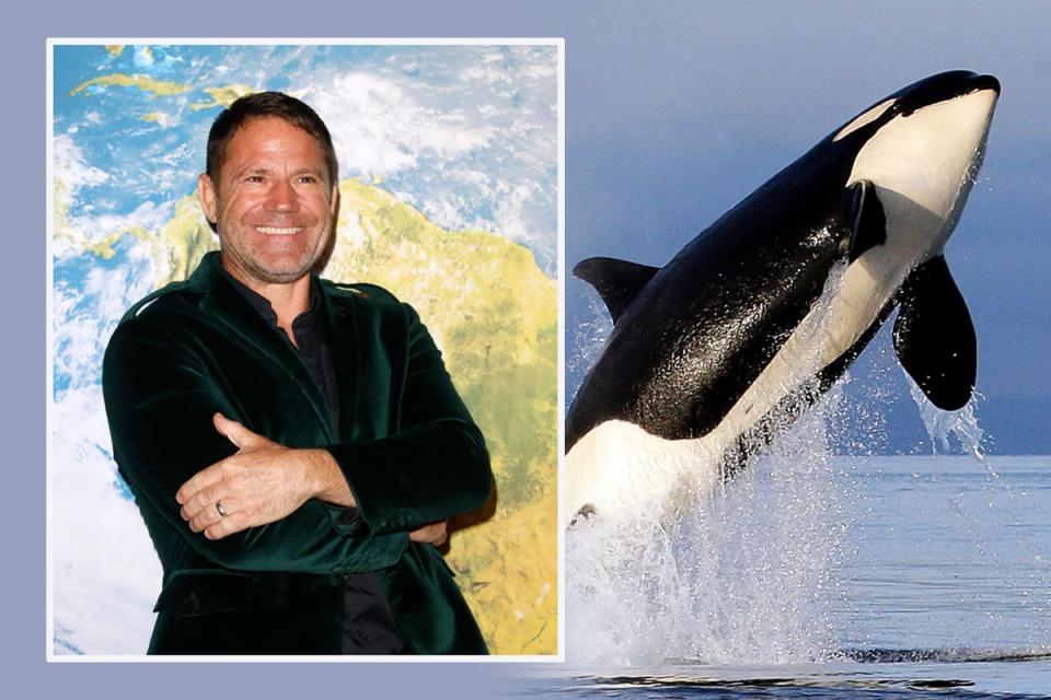 Steve Backshall has revealed what animal he would be in another life  (ES Composite)