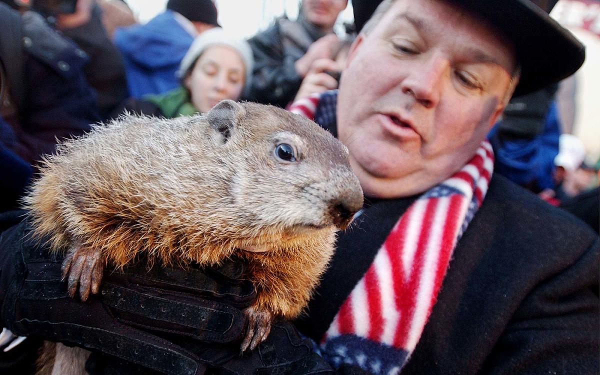 What Time Does the Groundhog Come Out on Groundhog Day?