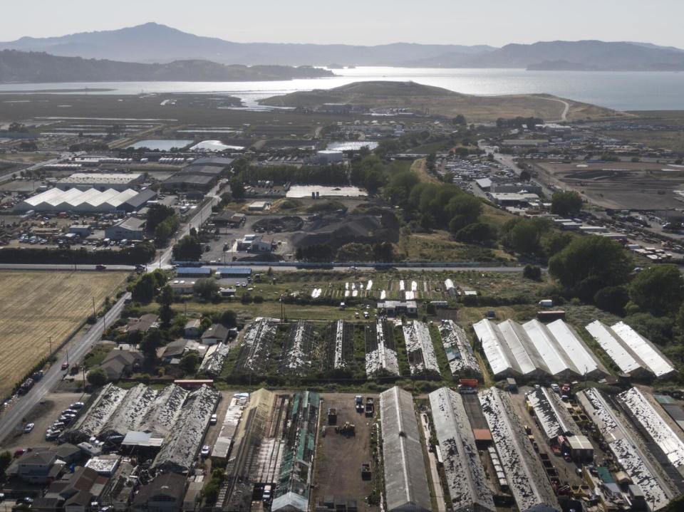 An aerial view of Sotoko Nabeta's flower nursery in North Richmond.