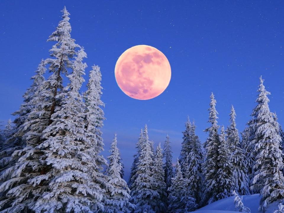 February’s full moon is known as the Snow Moon (Getty Images/iStockphoto)