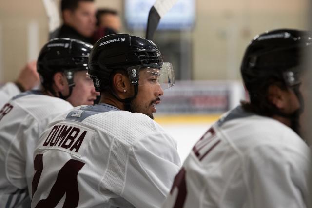 Arizona Coyotes to wear purple alternate jerseys for select games