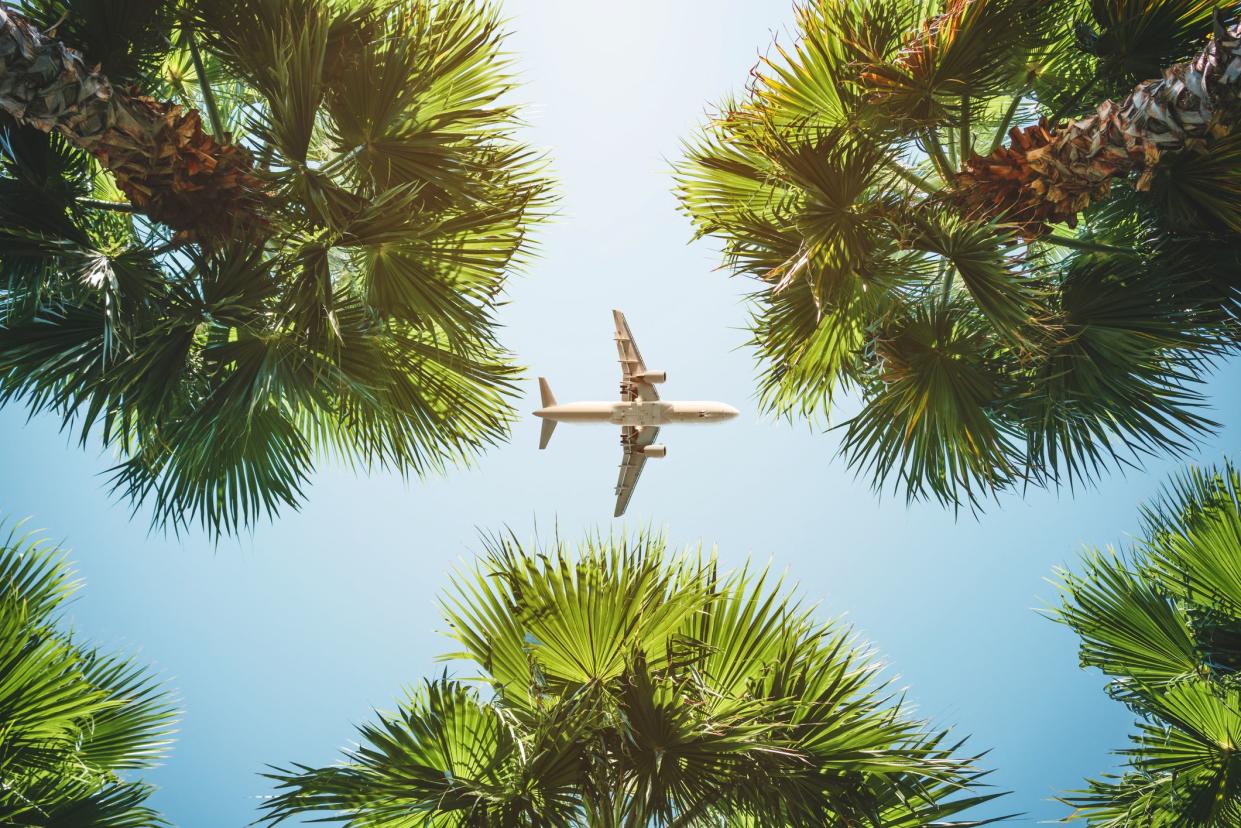 plane flying over palm trees