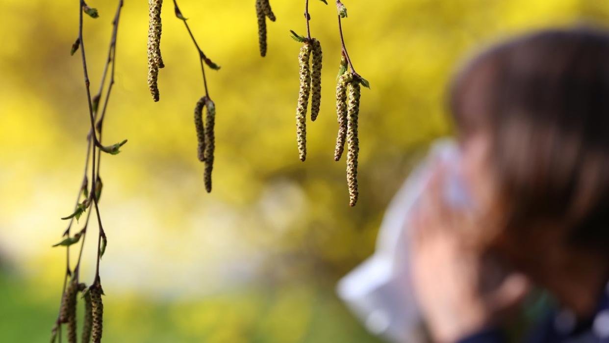 Wer gegen Pollen allergisch ist, sollte sich in seinem Auto einen Pollenfilter einbauen und diesen einmal im Jahr wechseln. Foto: Karl-Josef Hildenbrand