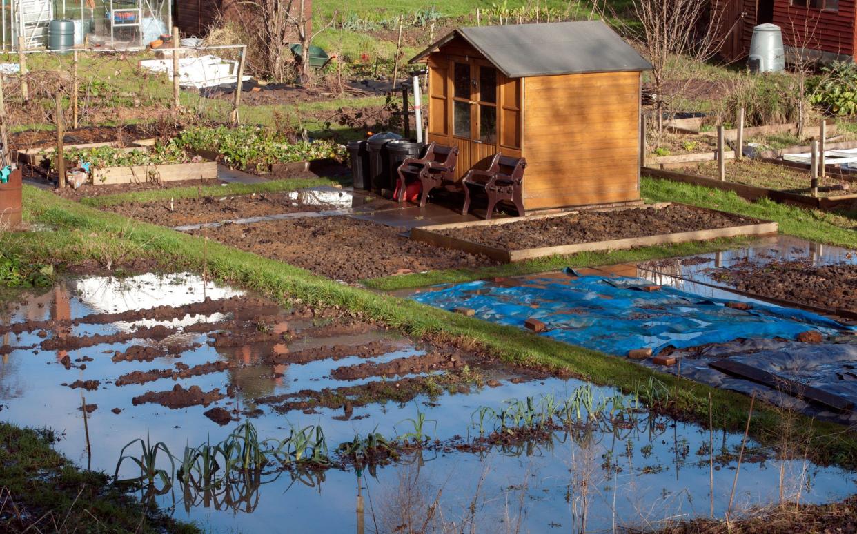 Flooded allotment garden, Kenilworth, Warwickshire, UK