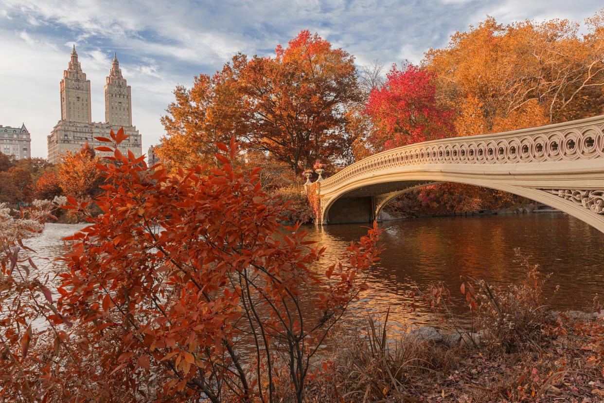 Bow Bridge in Central Park at autumn