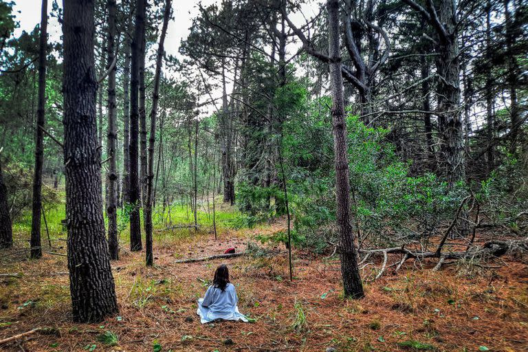 Los novedosos baños de bosque, que desde hace poco se realizan en la Argentina, ayudan a desacelerarse y a que se despierten los sentidos