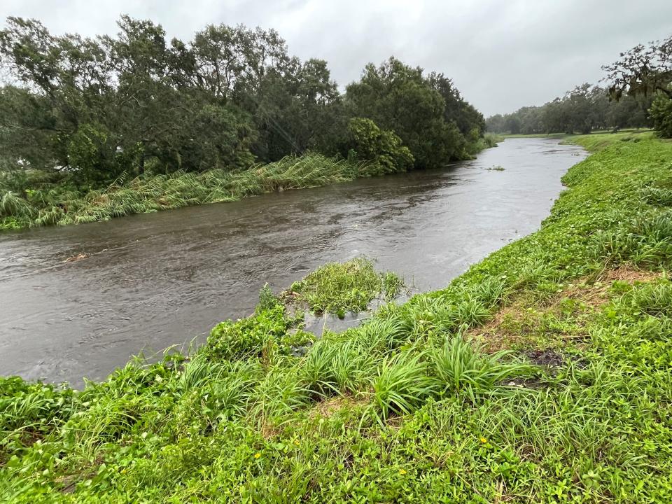 In Sarasota, Phillippi Creek is at its brim as the outer bands of Hurricane Ian approaches the state of Florida.