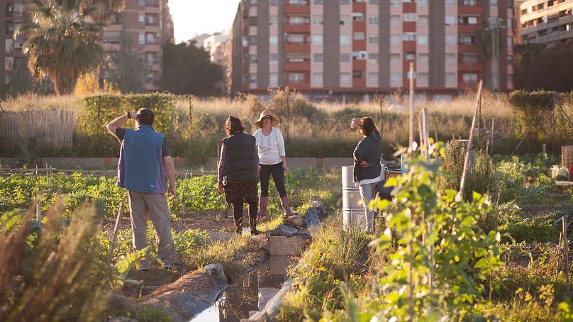 Valence célèbre les "garde-manger" de la nature dans le cadre de son année en tant que capitale verte de l'Europe.