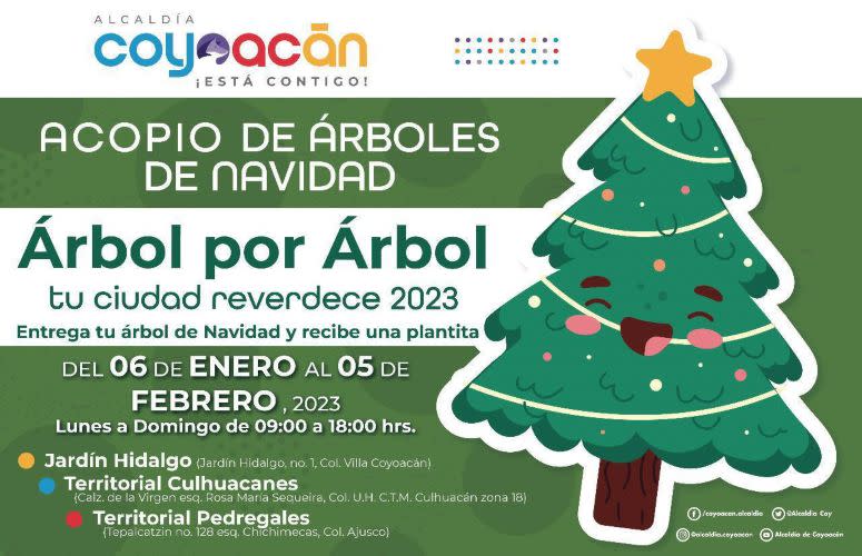 acopio de árboles de navidad 2023